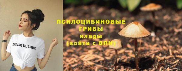 дживик Беломорск