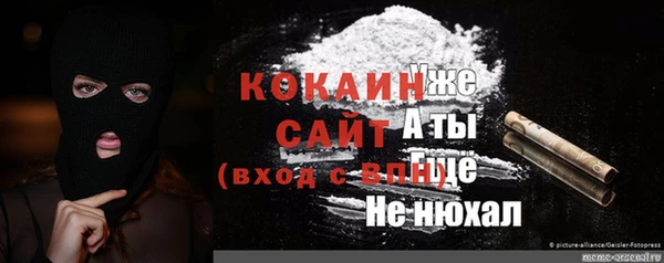 ПСИЛОЦИБИНОВЫЕ ГРИБЫ Белокуриха