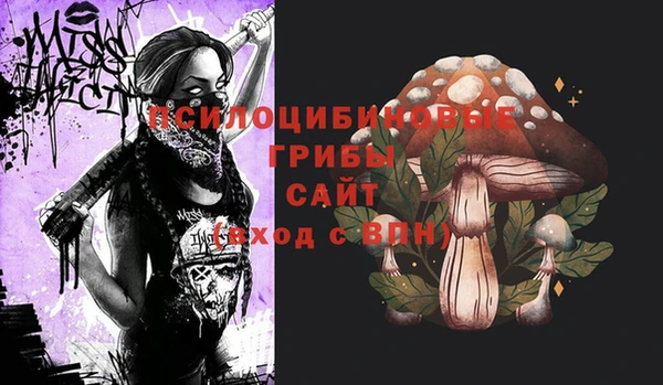 дживик Беломорск