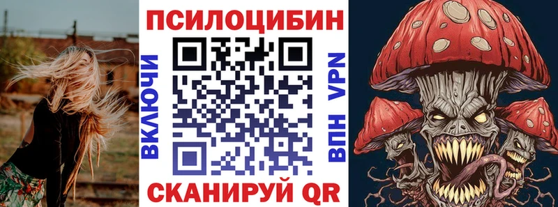 сколько стоит  Тулун  Псилоцибиновые грибы Psilocybe 